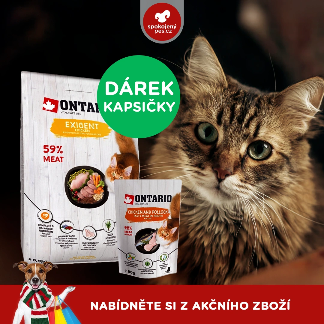 akční únor_12.webp